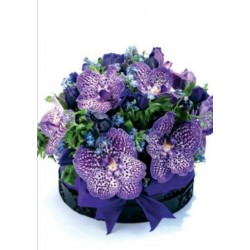 Orchid Table Display